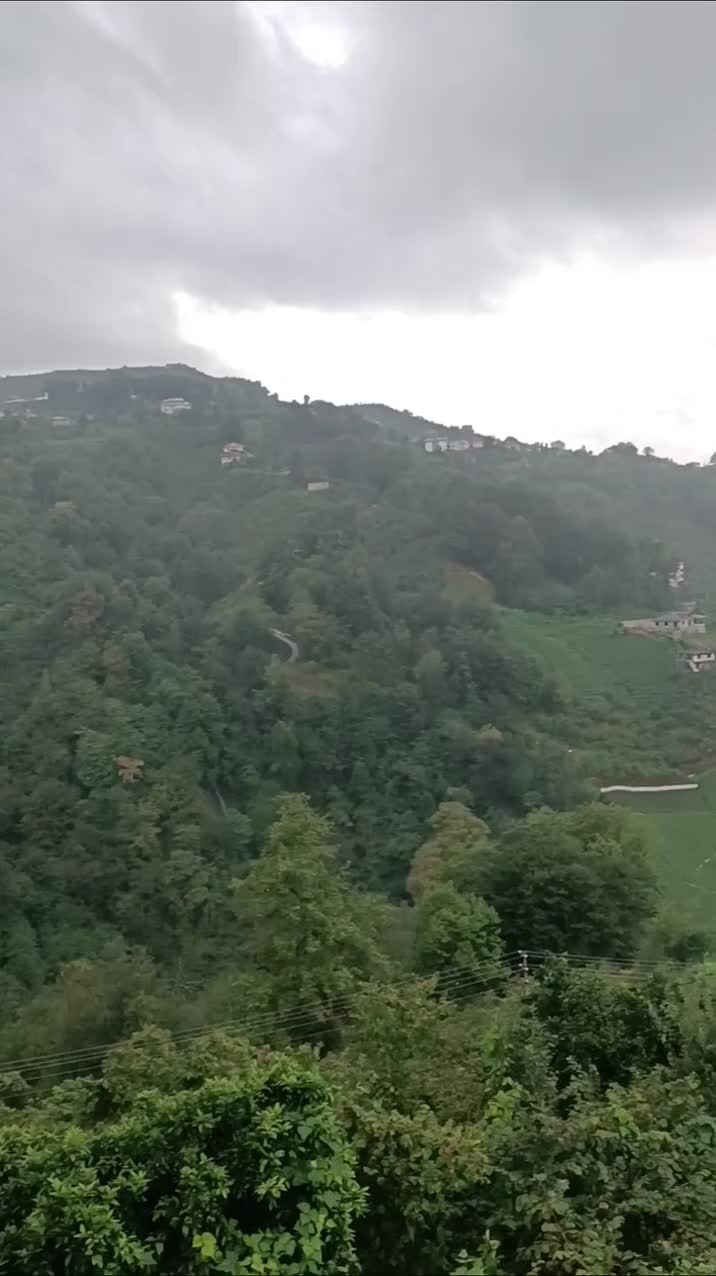 @lazali5353