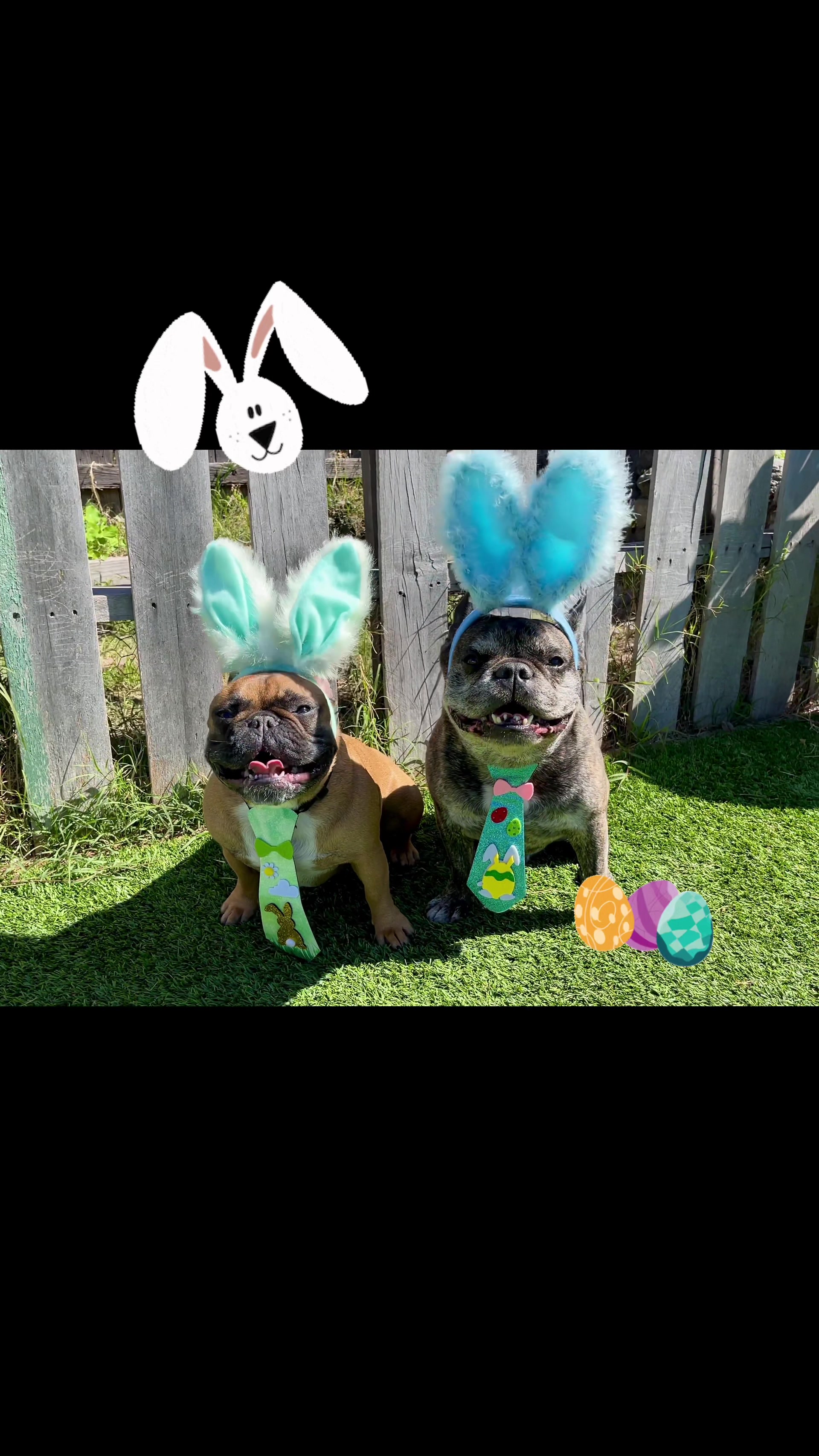 @FurEver Loving Care 🐾(Andrea)
