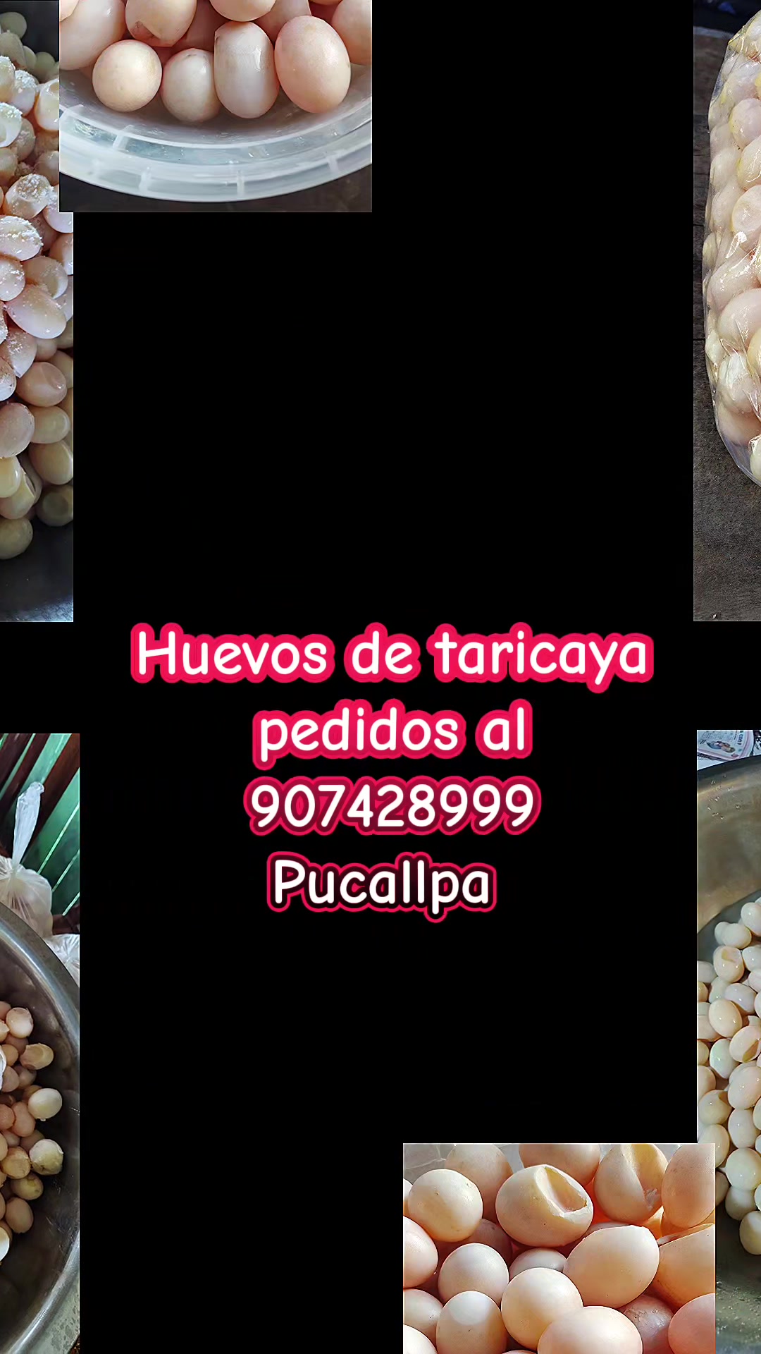 @LA TIRUSHA