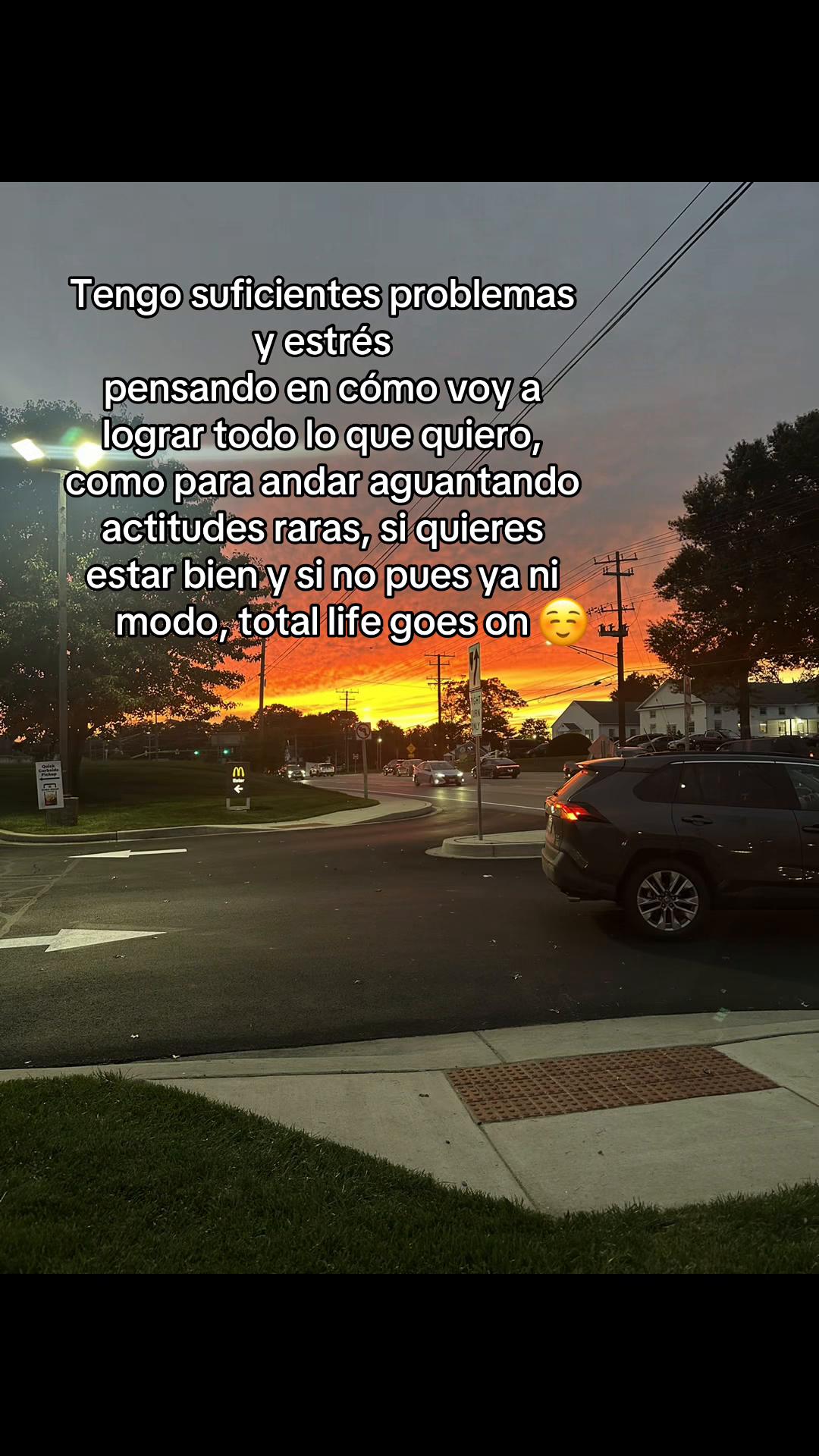 @Lorena Tolentino