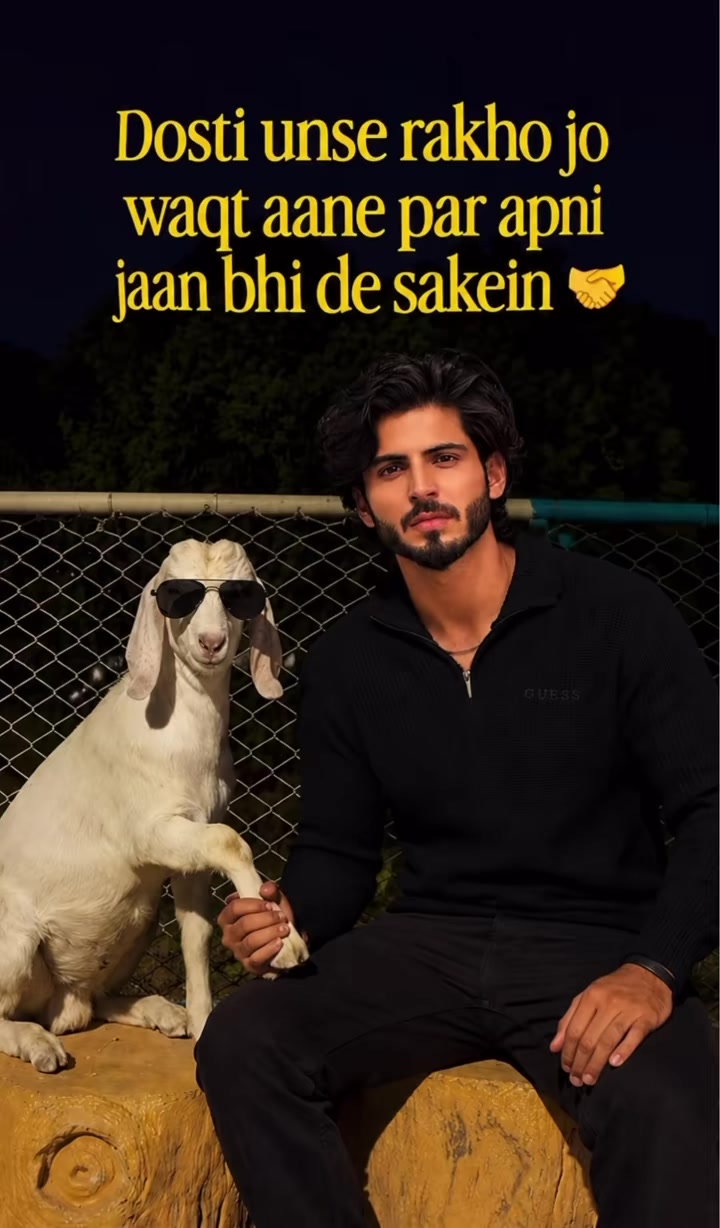 @yasirabbas_syed