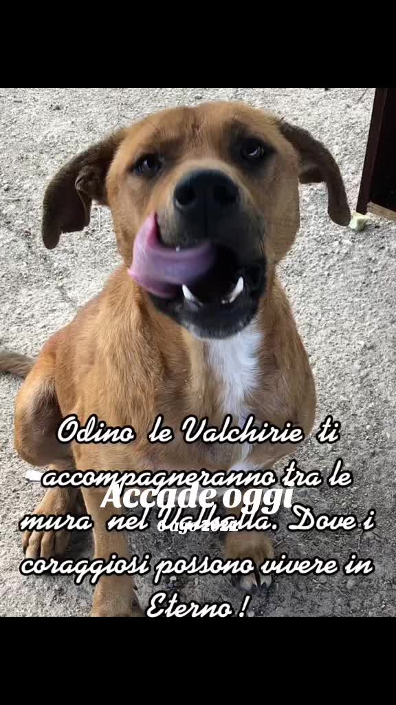 @Marika Falbo