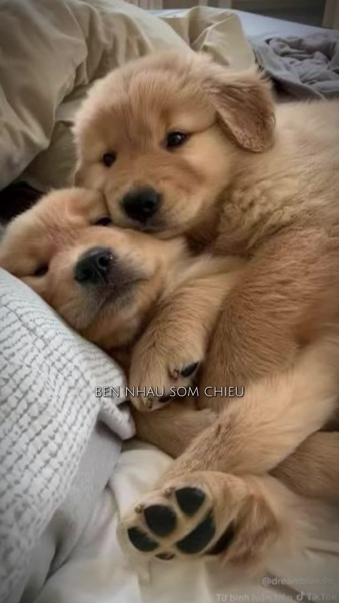 @Trươngg Long