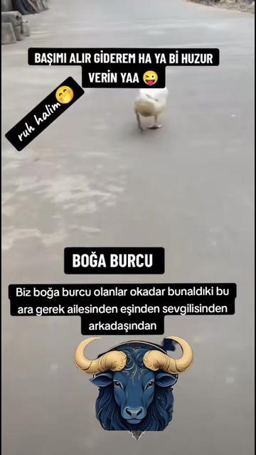 @✍️♉♉ᎠümᎬᏁsᎥ̇Ꮓ ᏢᎪᏁᏃᎬhᎥ̇Ꮢ✍️♉♉