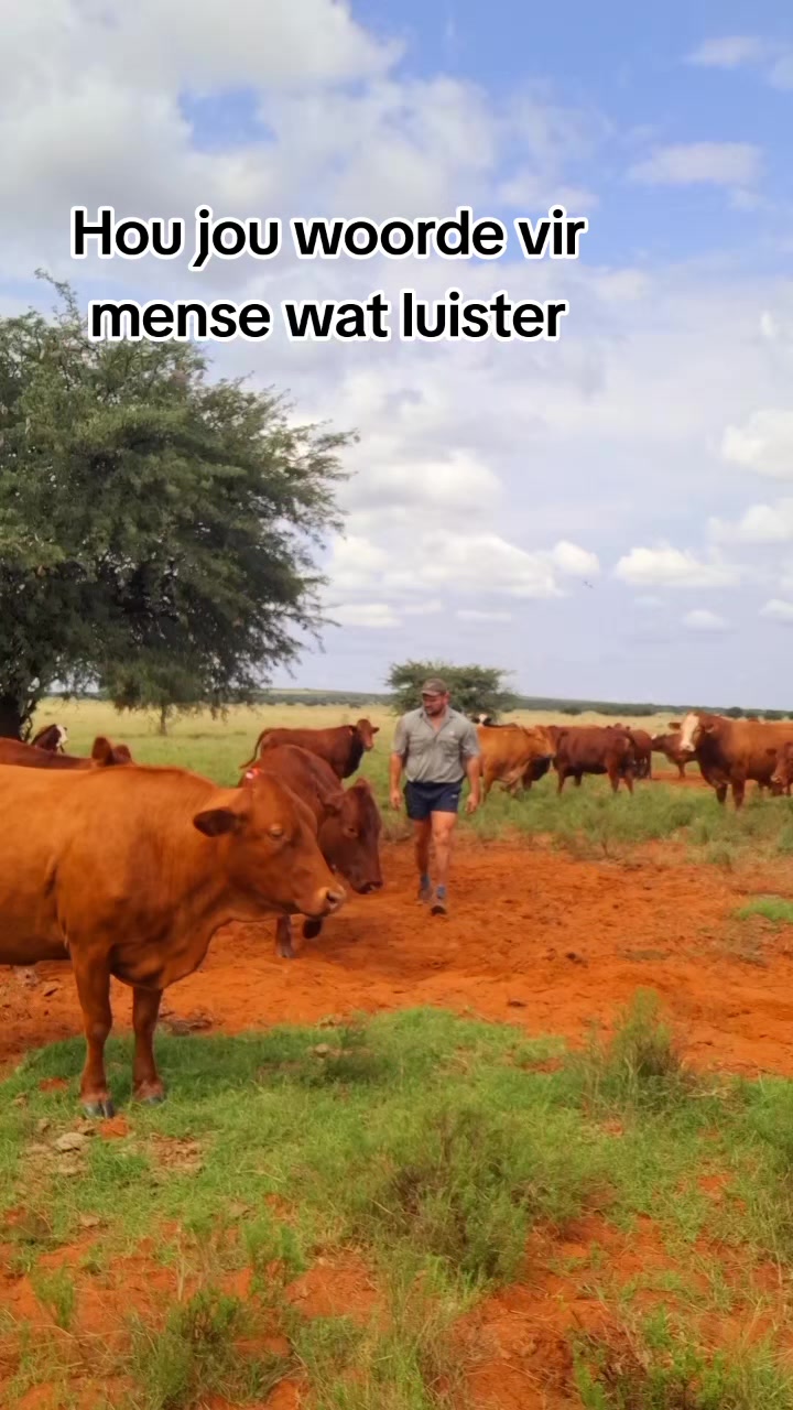 @Bees Strydom