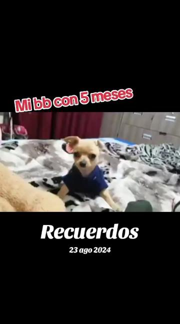 @tudiosa26