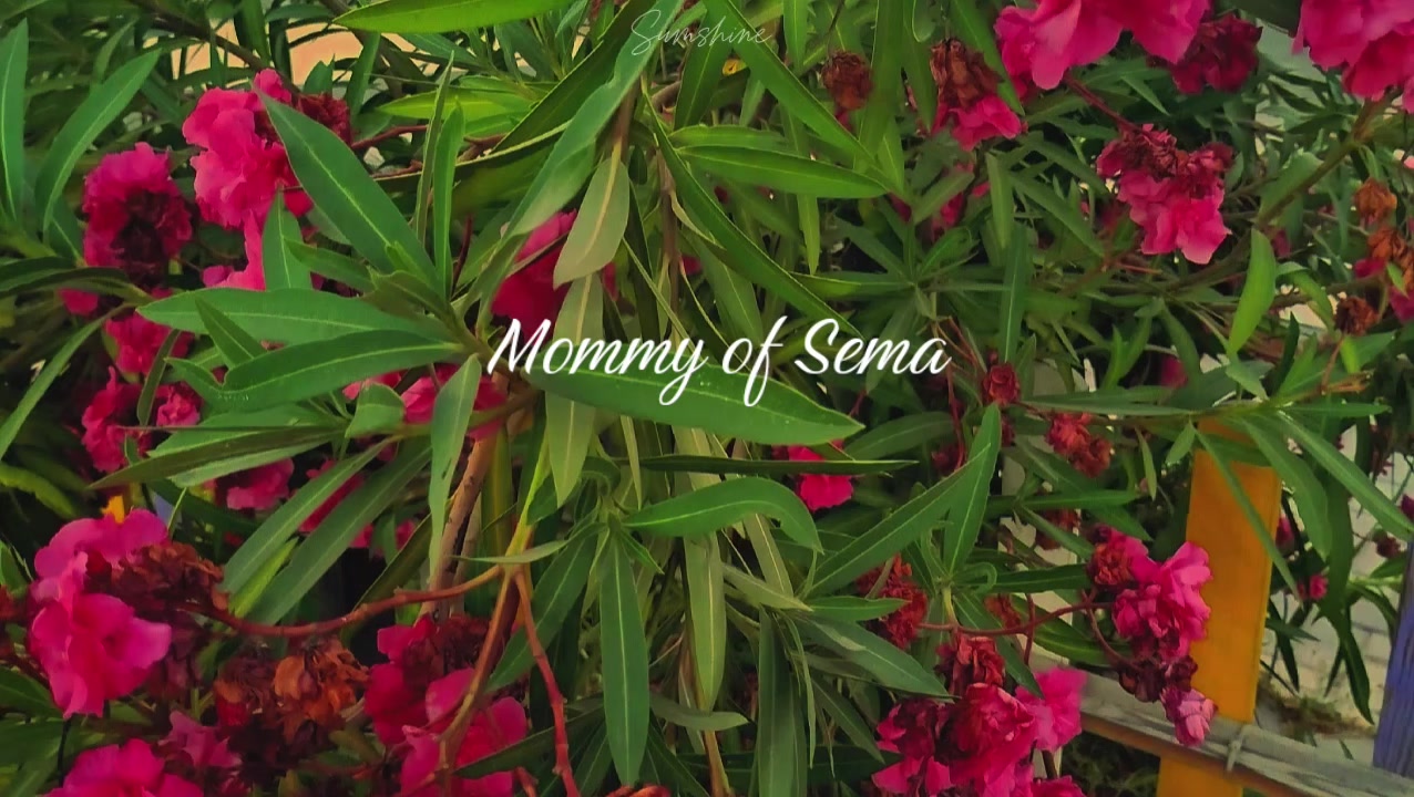 @Mommy.ofSema ❤️🩵Səma & Səid