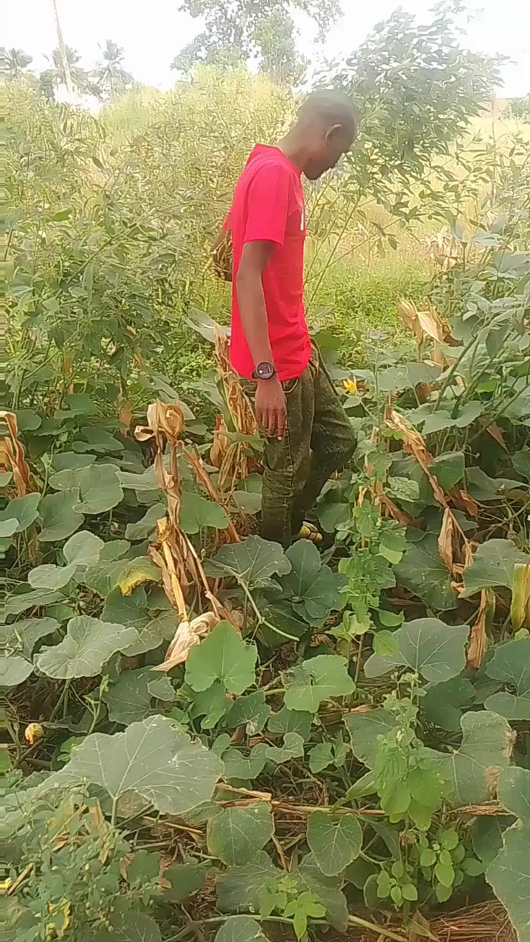 @heshimachangoma