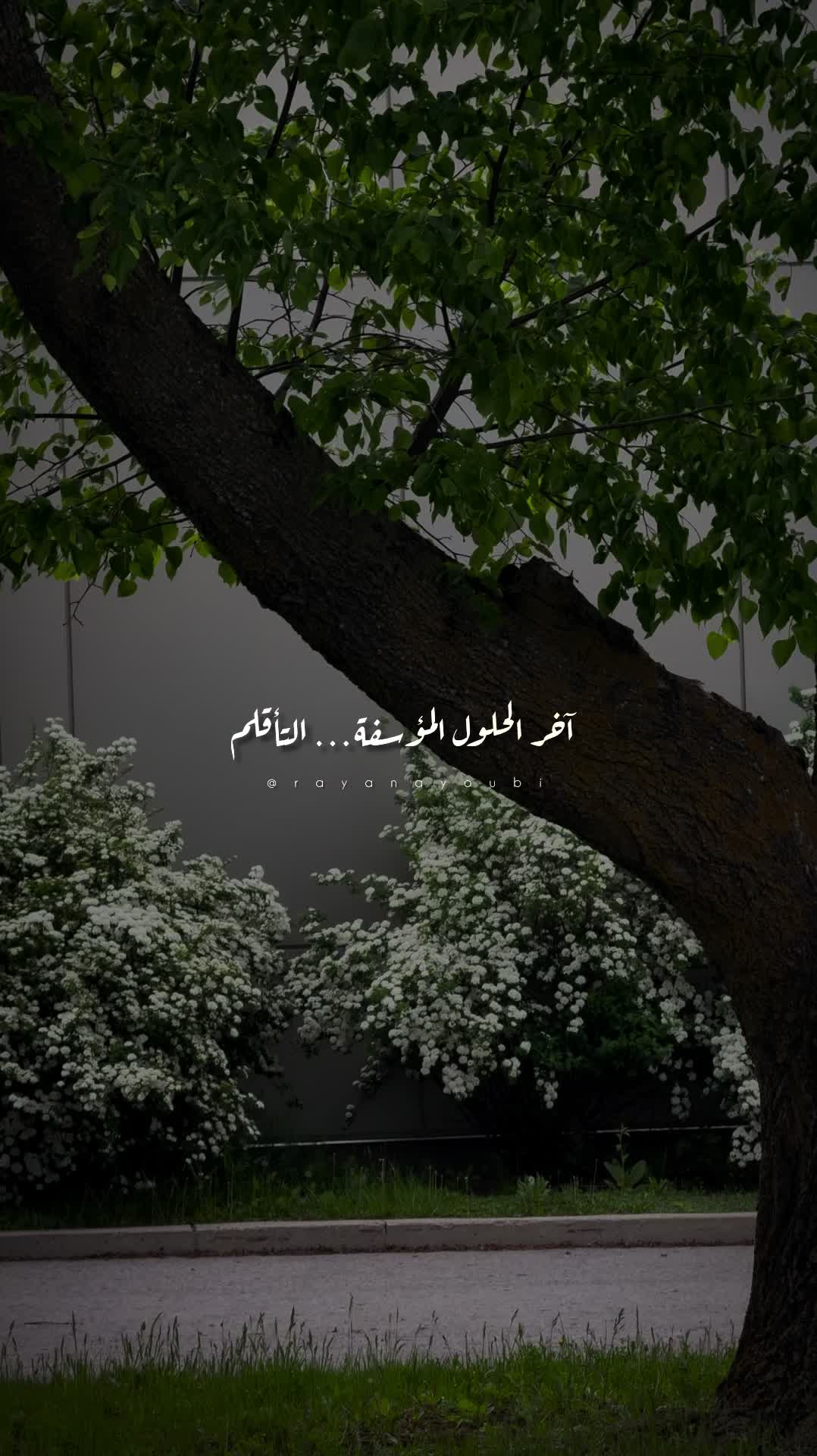 @Rayan El Ayoubi