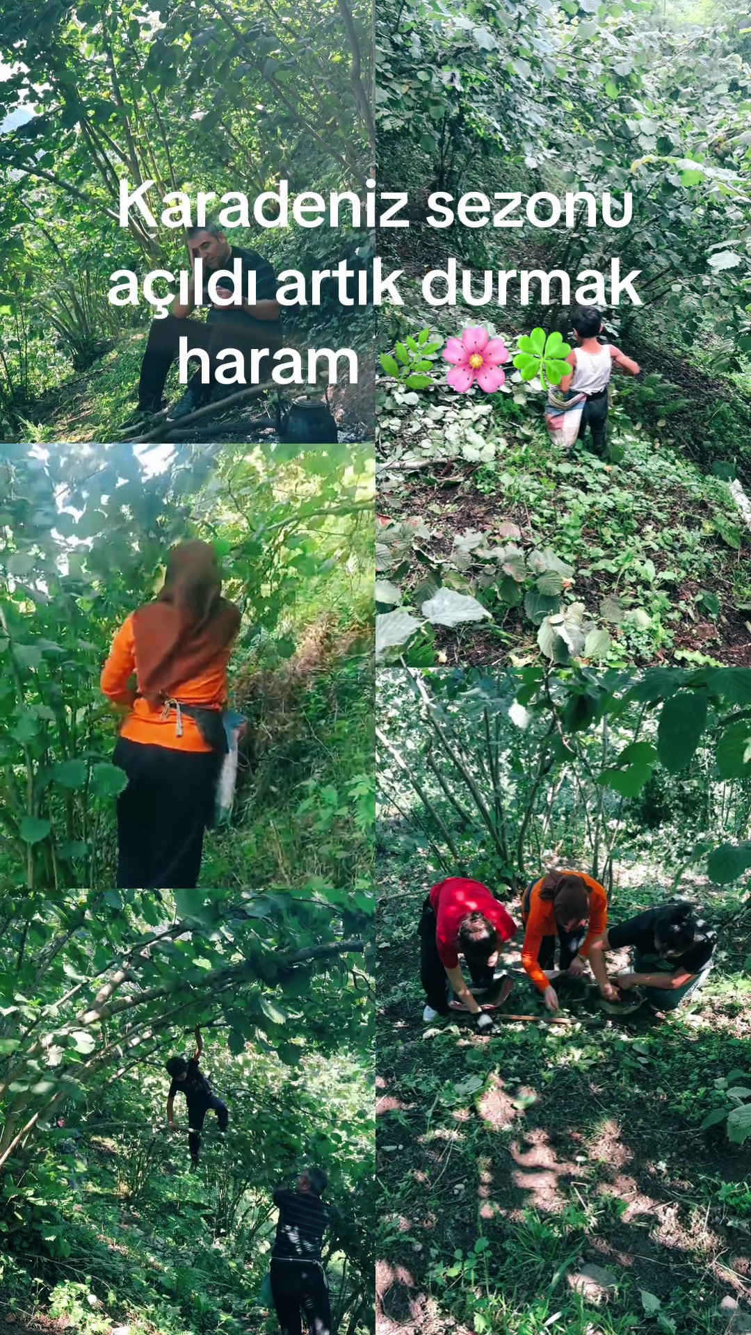 @Derya Çkr🌸🧿