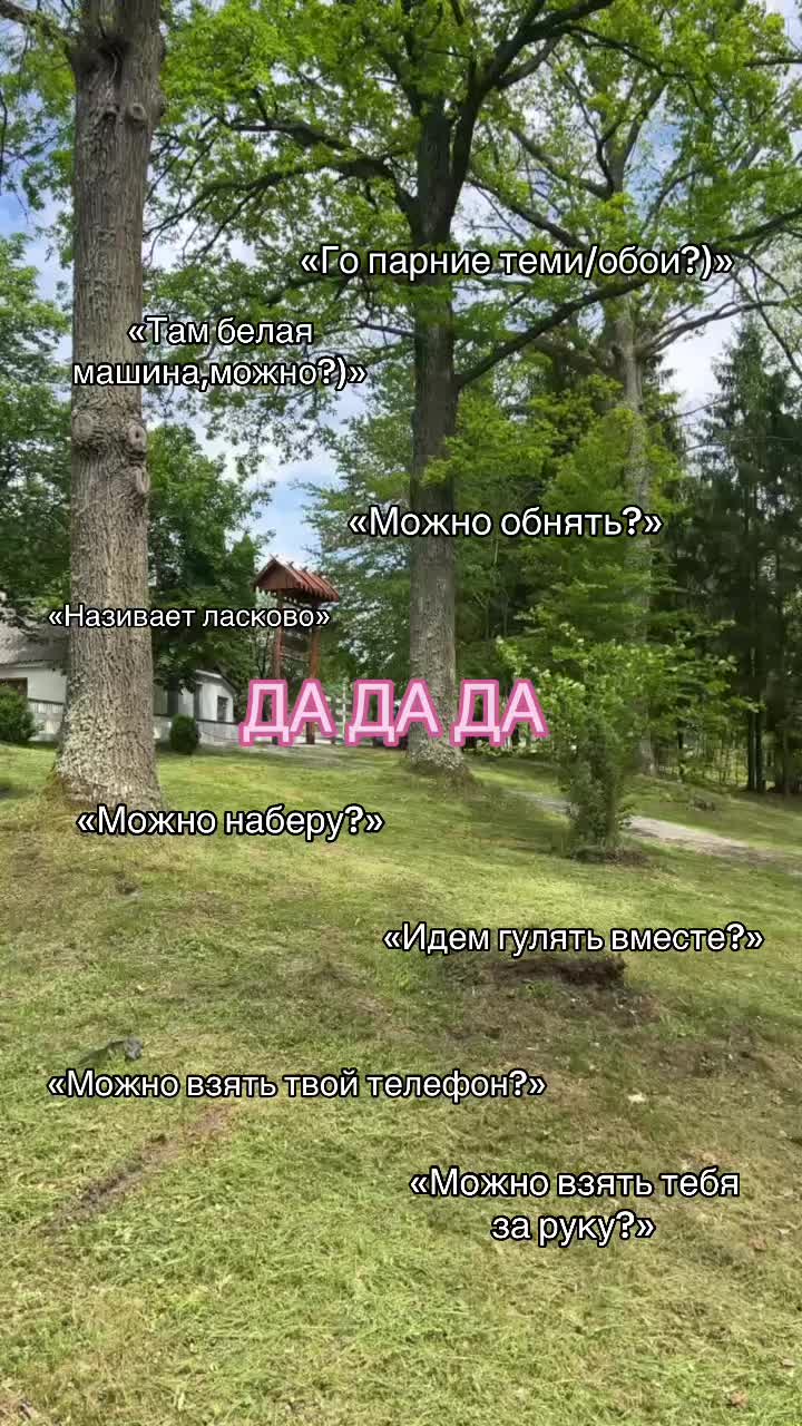 @🕷️