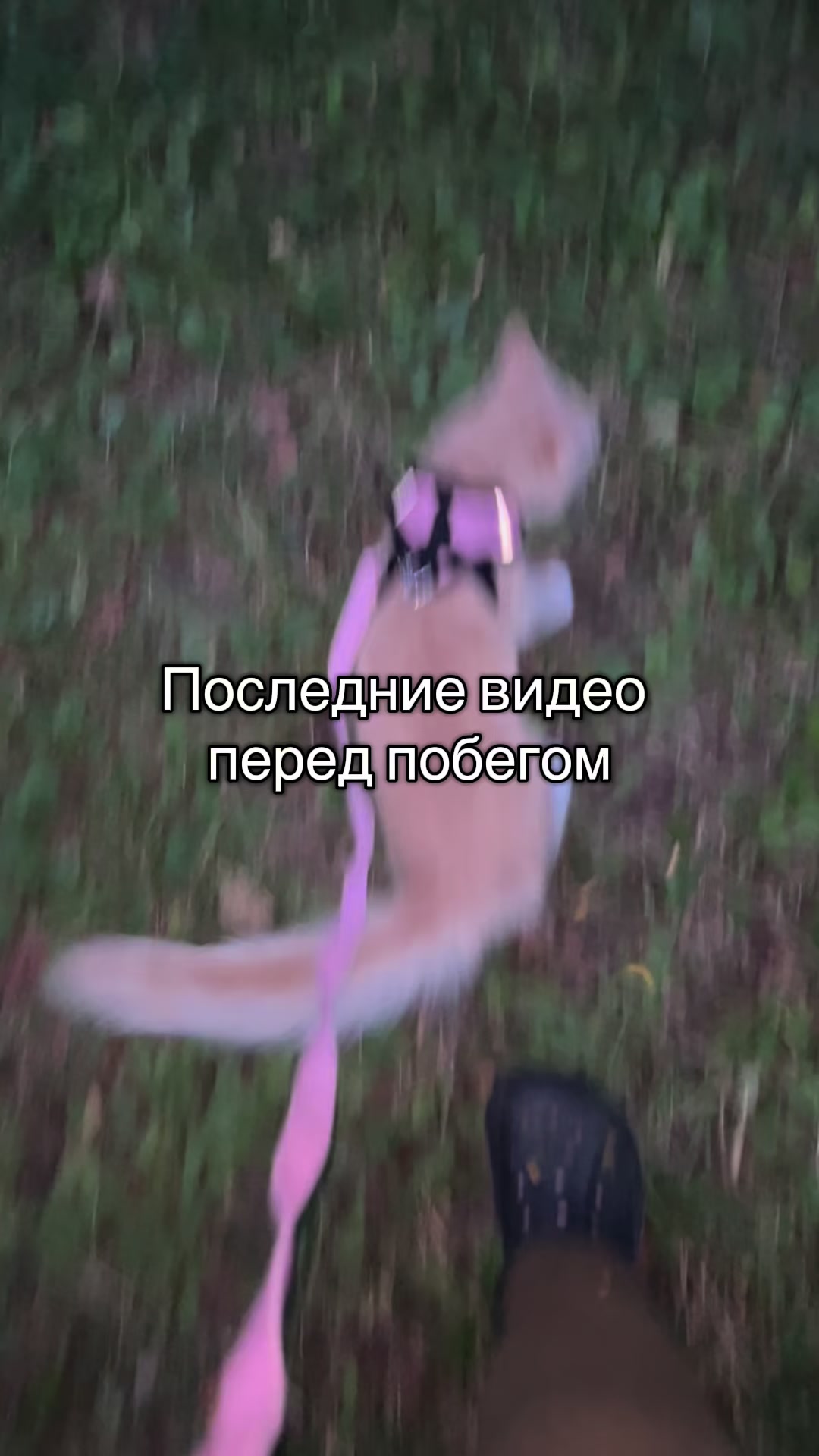 @🌸|| 𝓡𝓪𝓰𝓱𝓪𝓽𝓪||🌾
