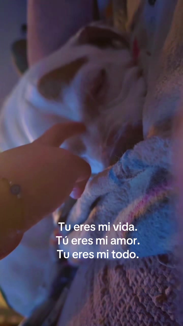 @Curvaspeligrosas33