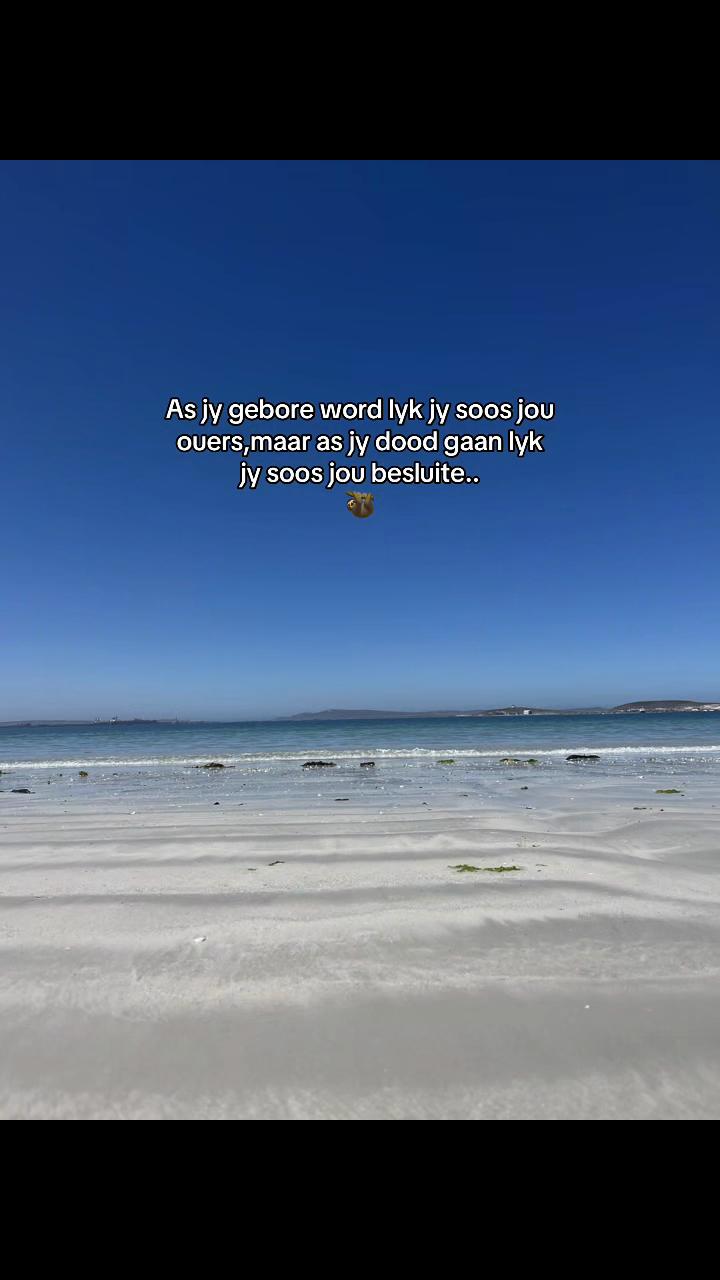 @👑_gc19