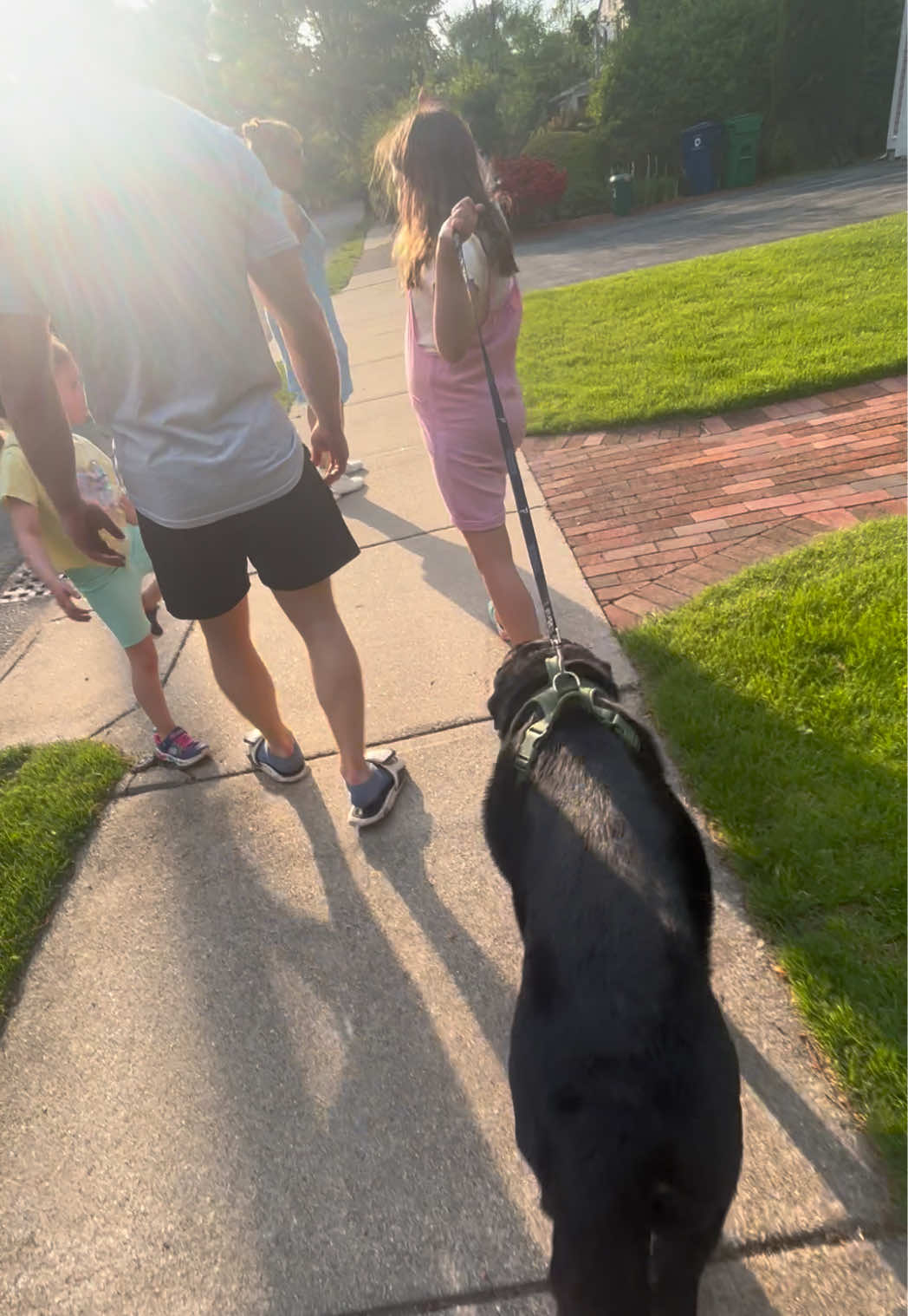 @rubenblacklab