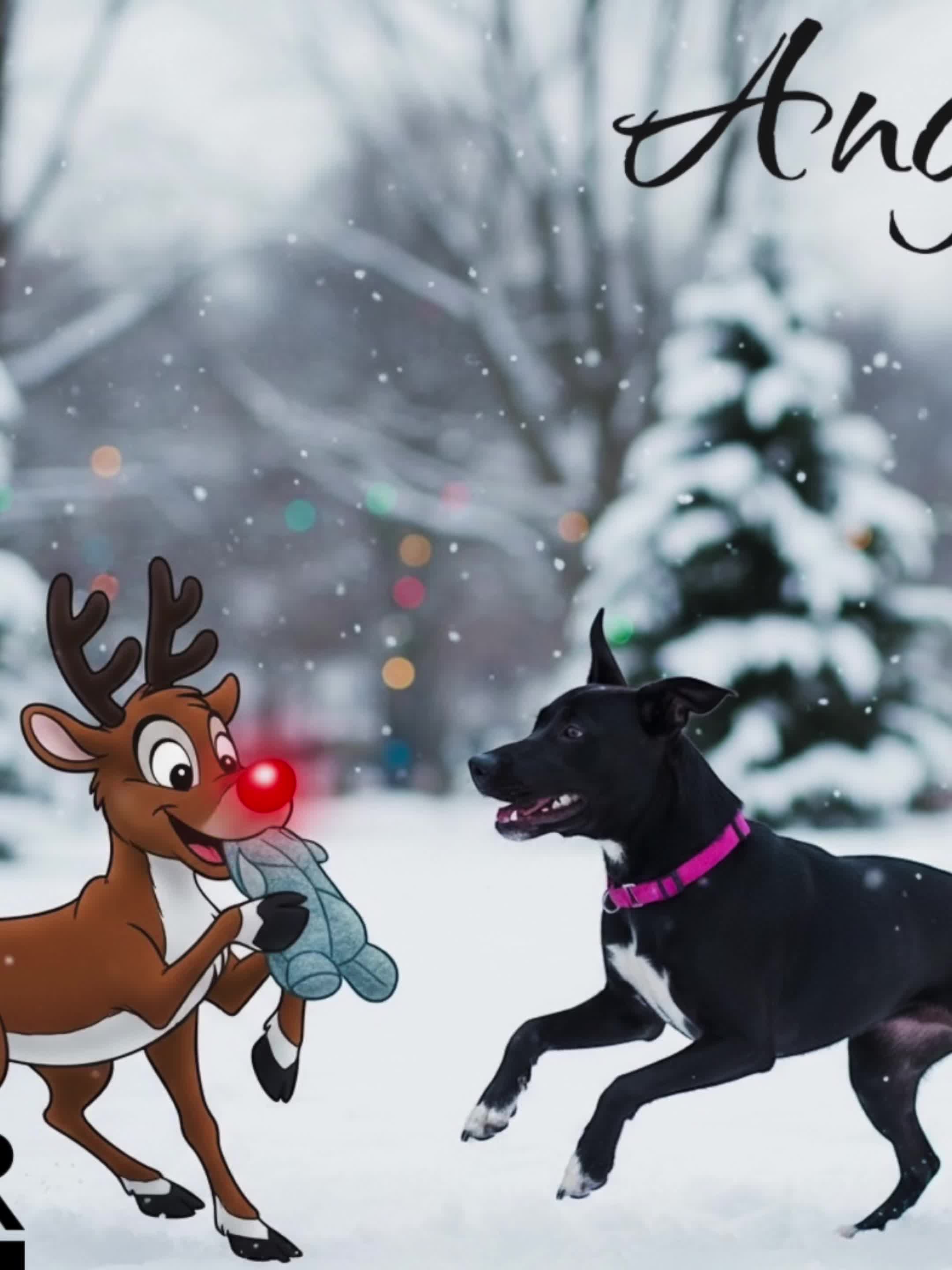 @AbandonedAnimalRescue