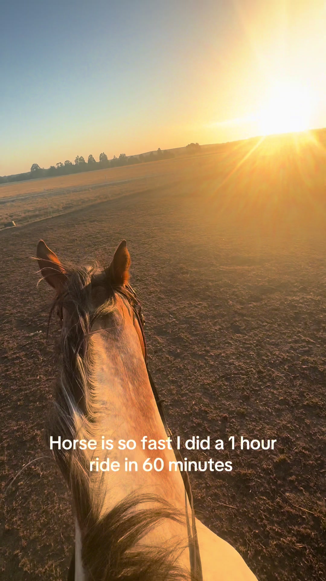 @Brynn.eq