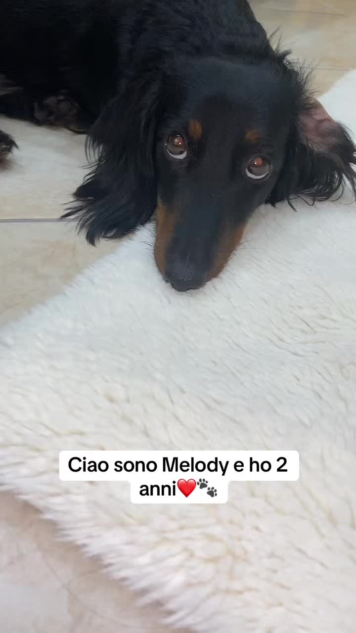 @A.M