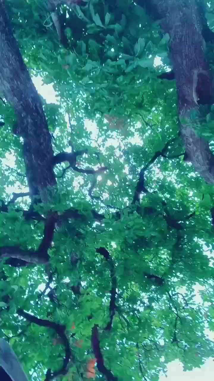 @&Acirc;❤️Ɓ🫶😘🥀