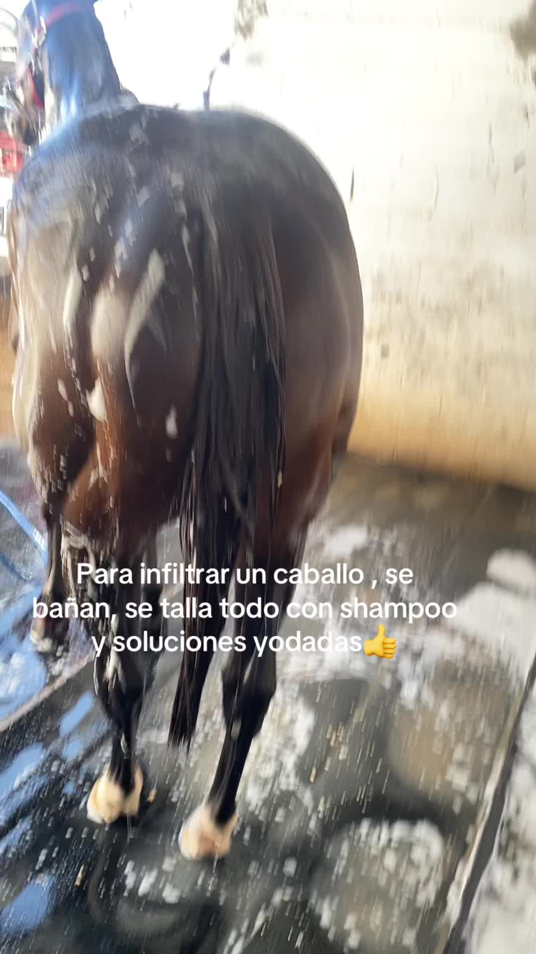 @mvz. chema