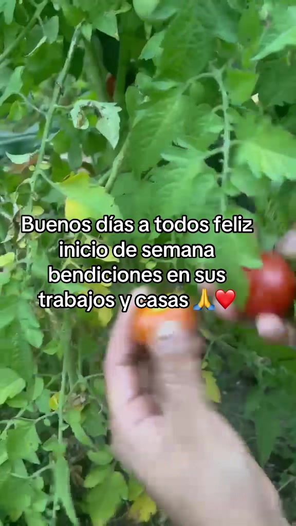 @Lucygomez❤️