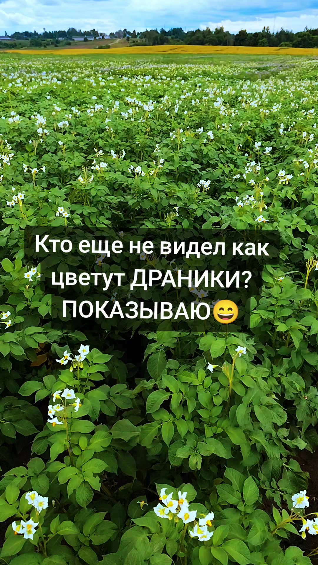 @🖤𝓙𝓾lieТа🖤