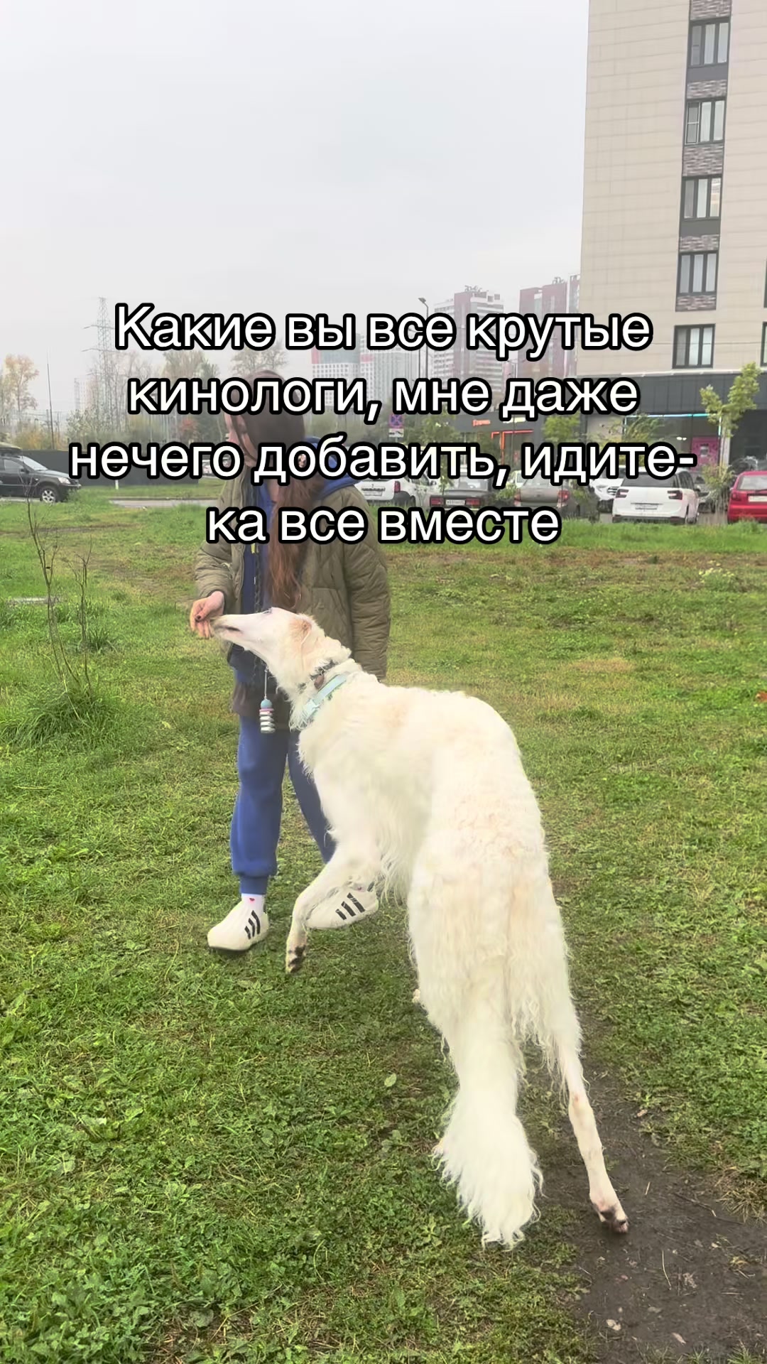 @Кареглазый блондин👁️