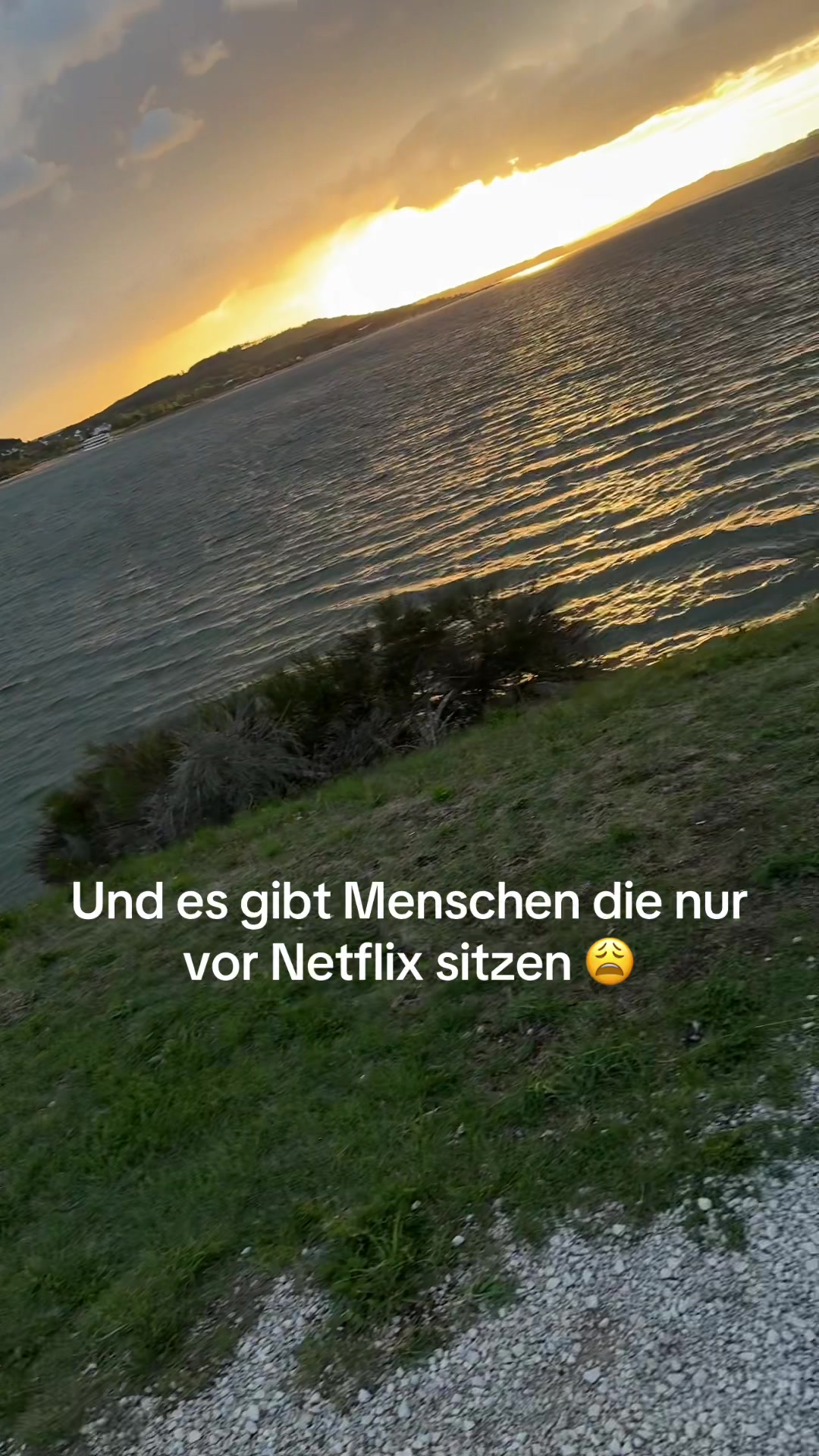 @franzii850