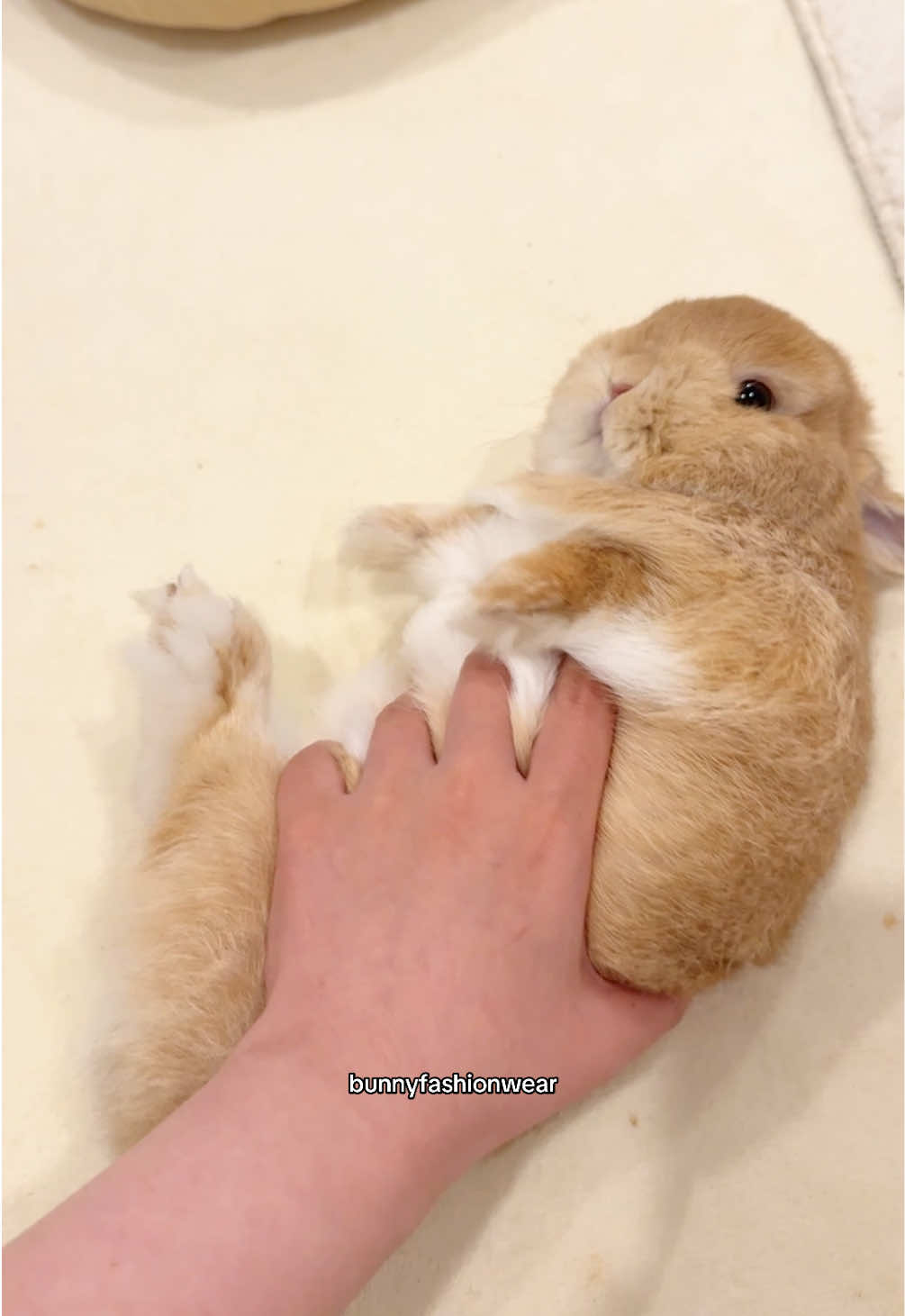@Eggie