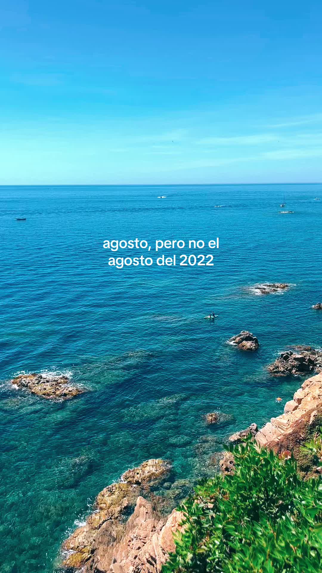 @ozzy 🦈
