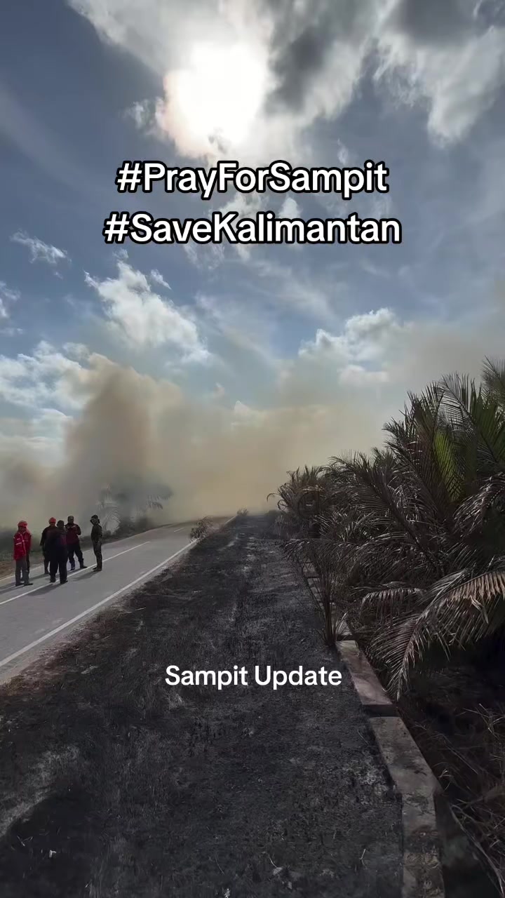 @sampit.update