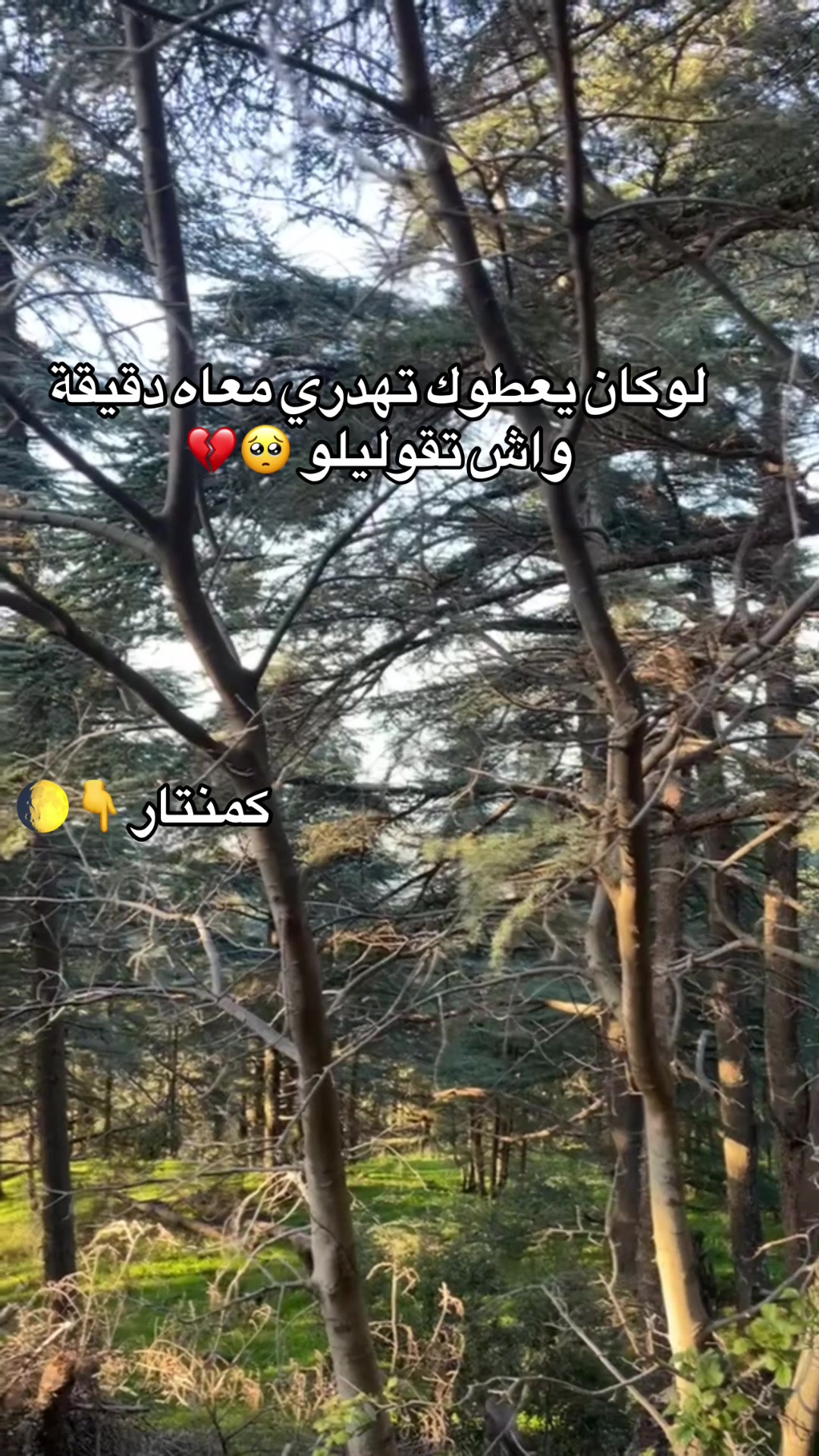 @Abdou🐺🖤