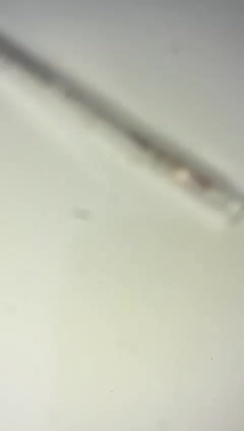 @ℬ𝓇𝒾𝒶𝓃𝒶𝒶