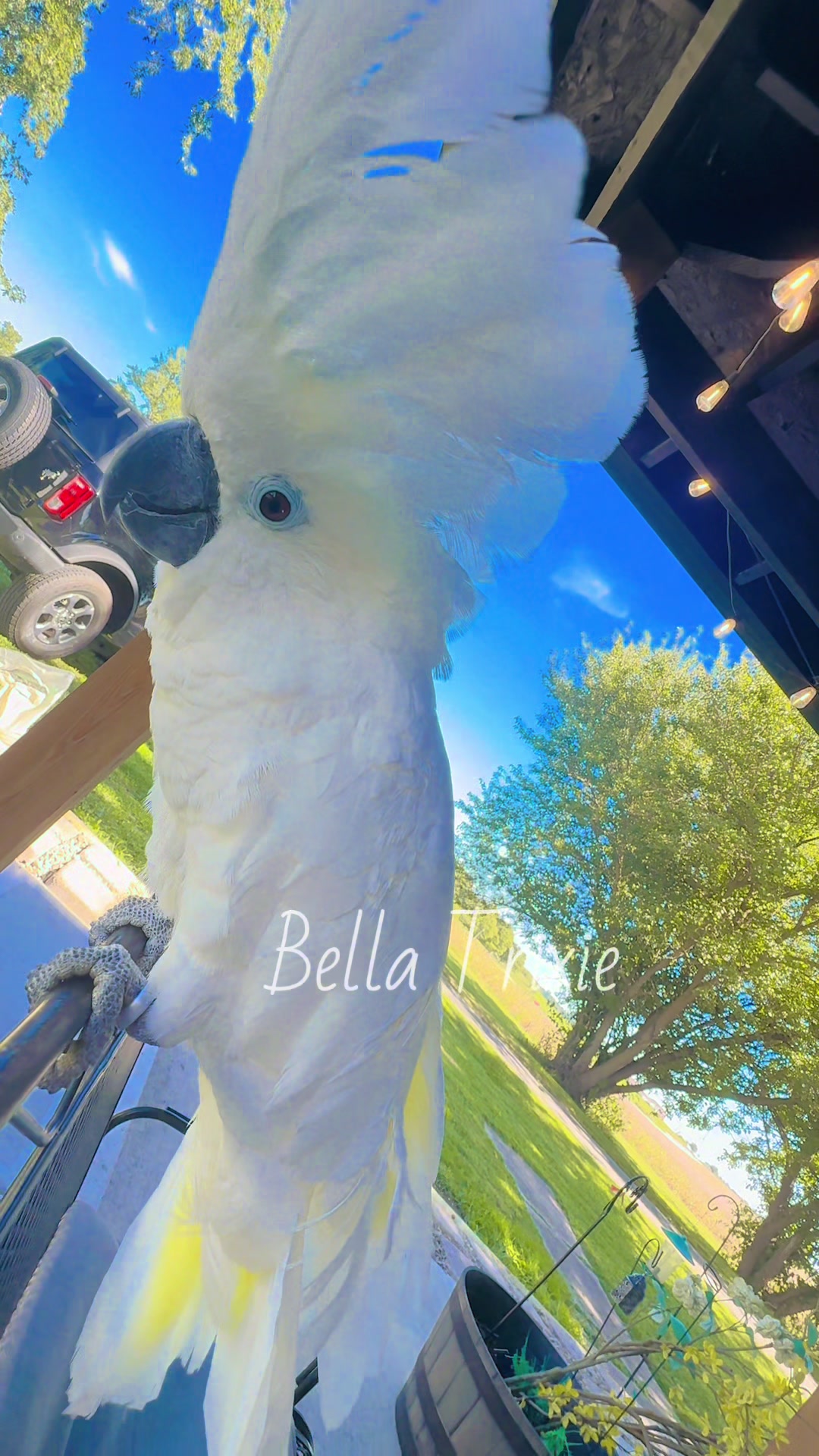 @A_little_off_our_perch