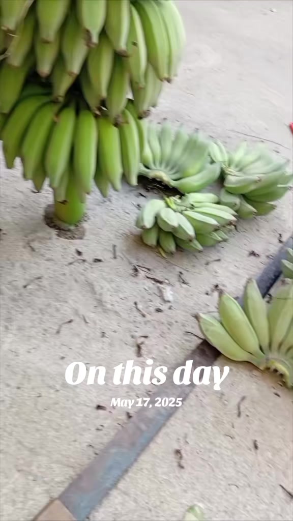 @Kastukaw
