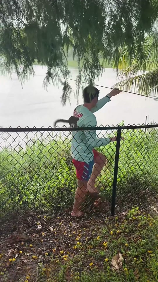 @SneakyFails