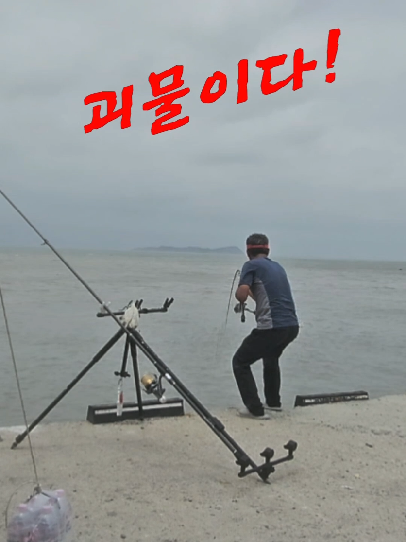 @빨간모자낚시
