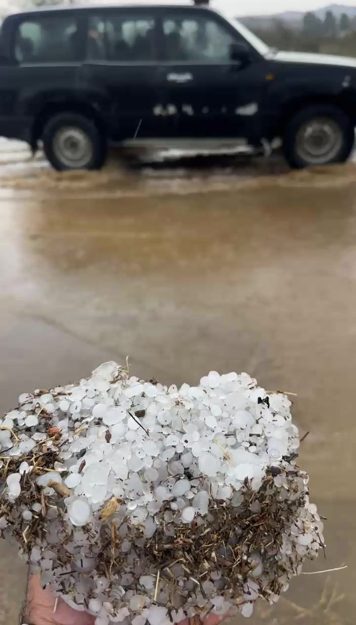 @آبووسآم برق آلَساحل⚡️⛈️