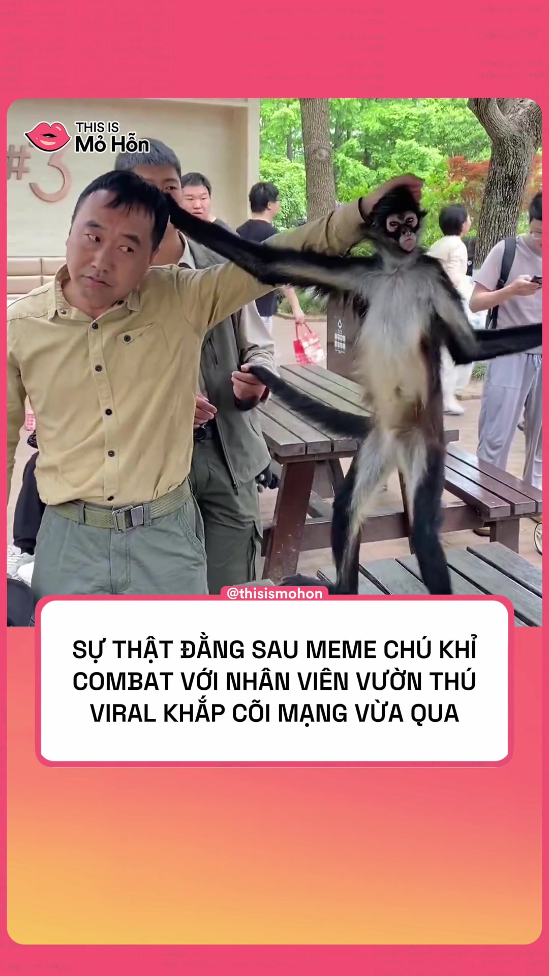 @This is Mỏ Hỗn