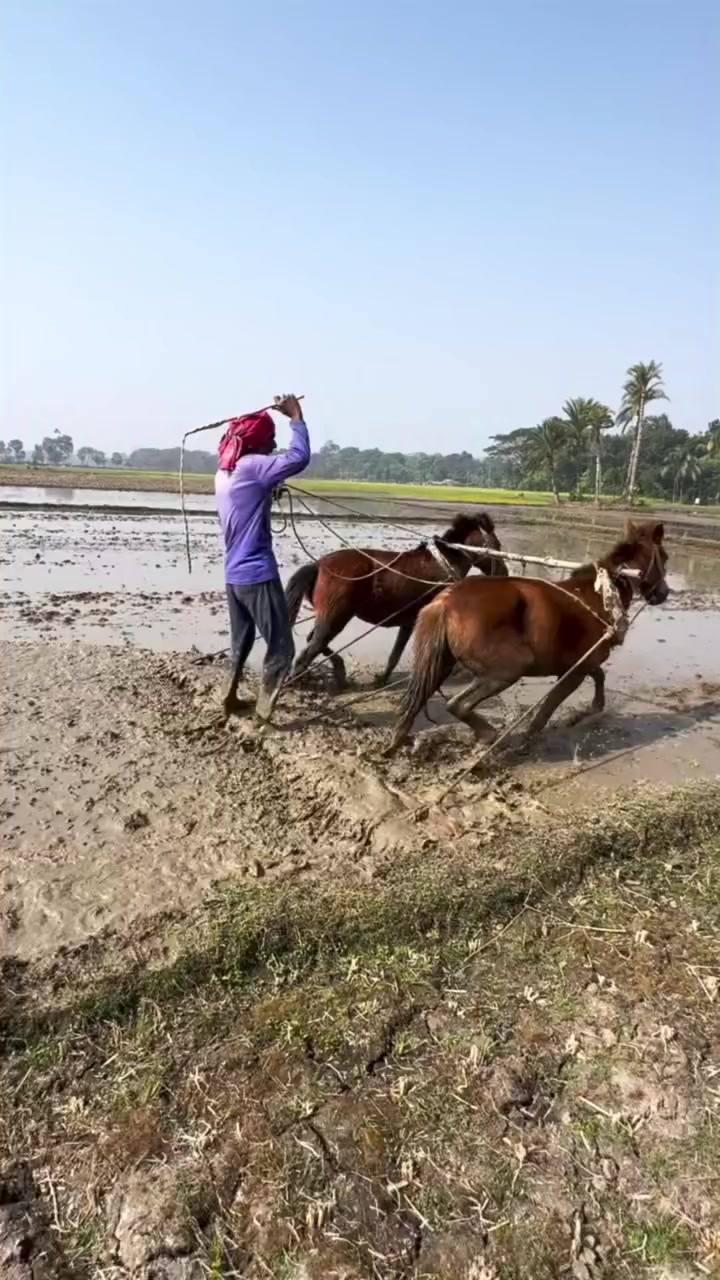 @𝐁𝐈𝐒𝐇𝐍𝐔 𝐃𝐄𝐕