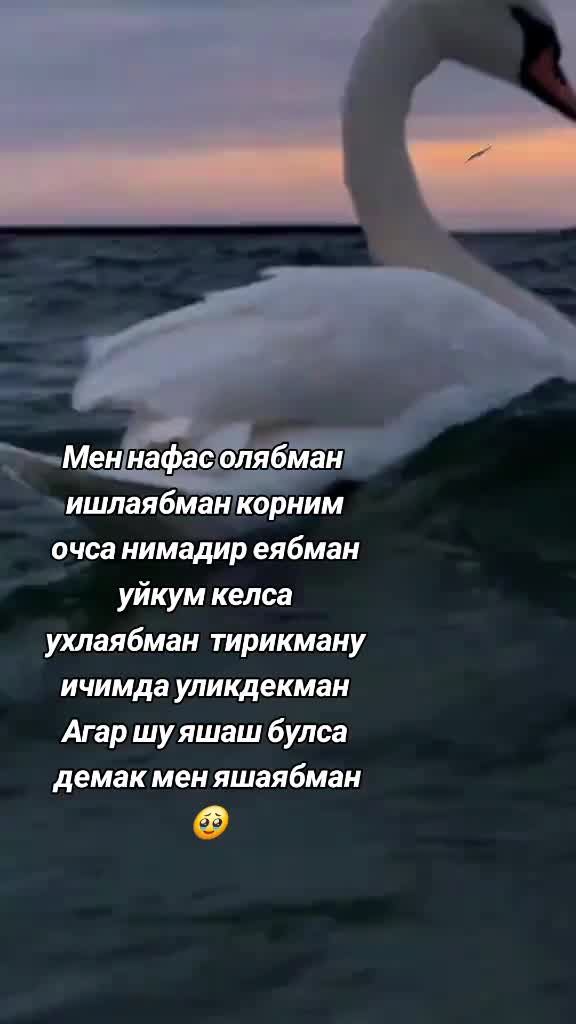 @🥀Сиз мени калбимдасиз 🥀