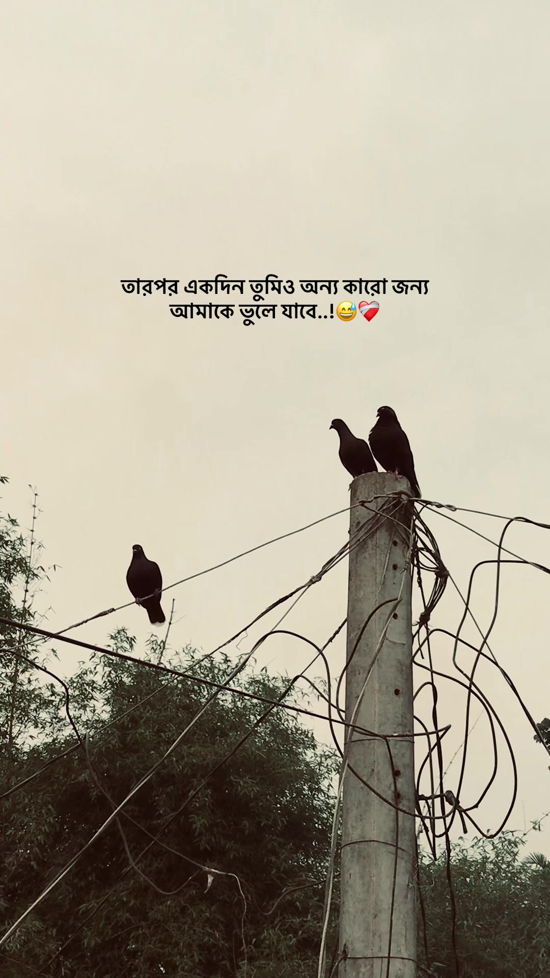 @the_spydoo🕸️ 🥏