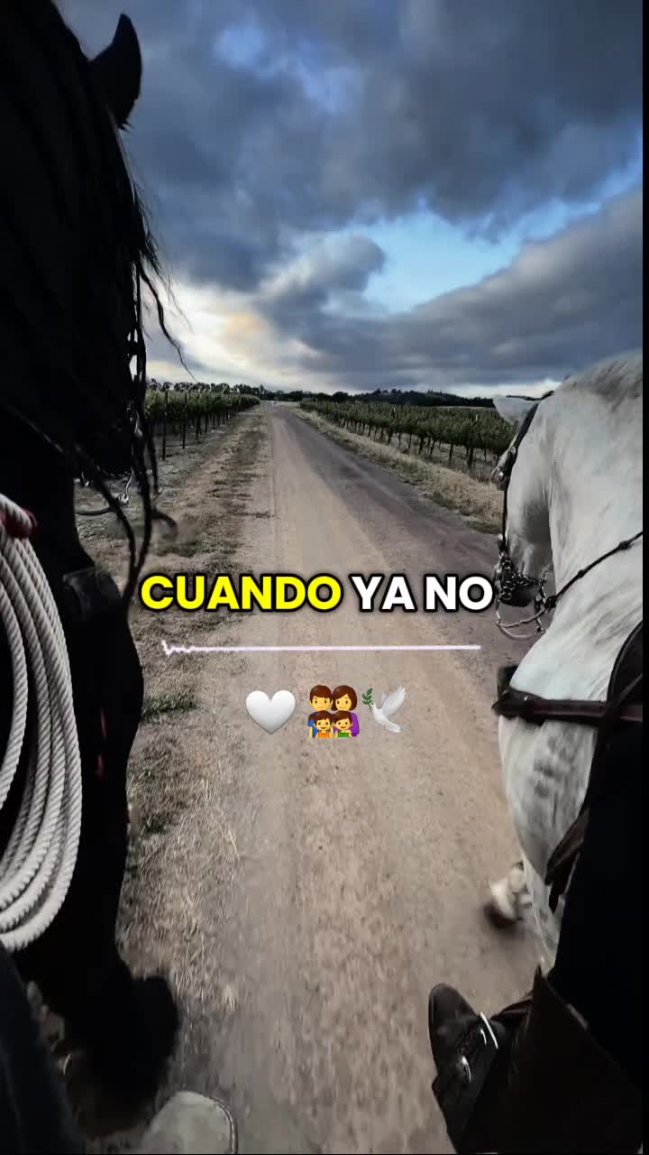 @Miguel Angel Official