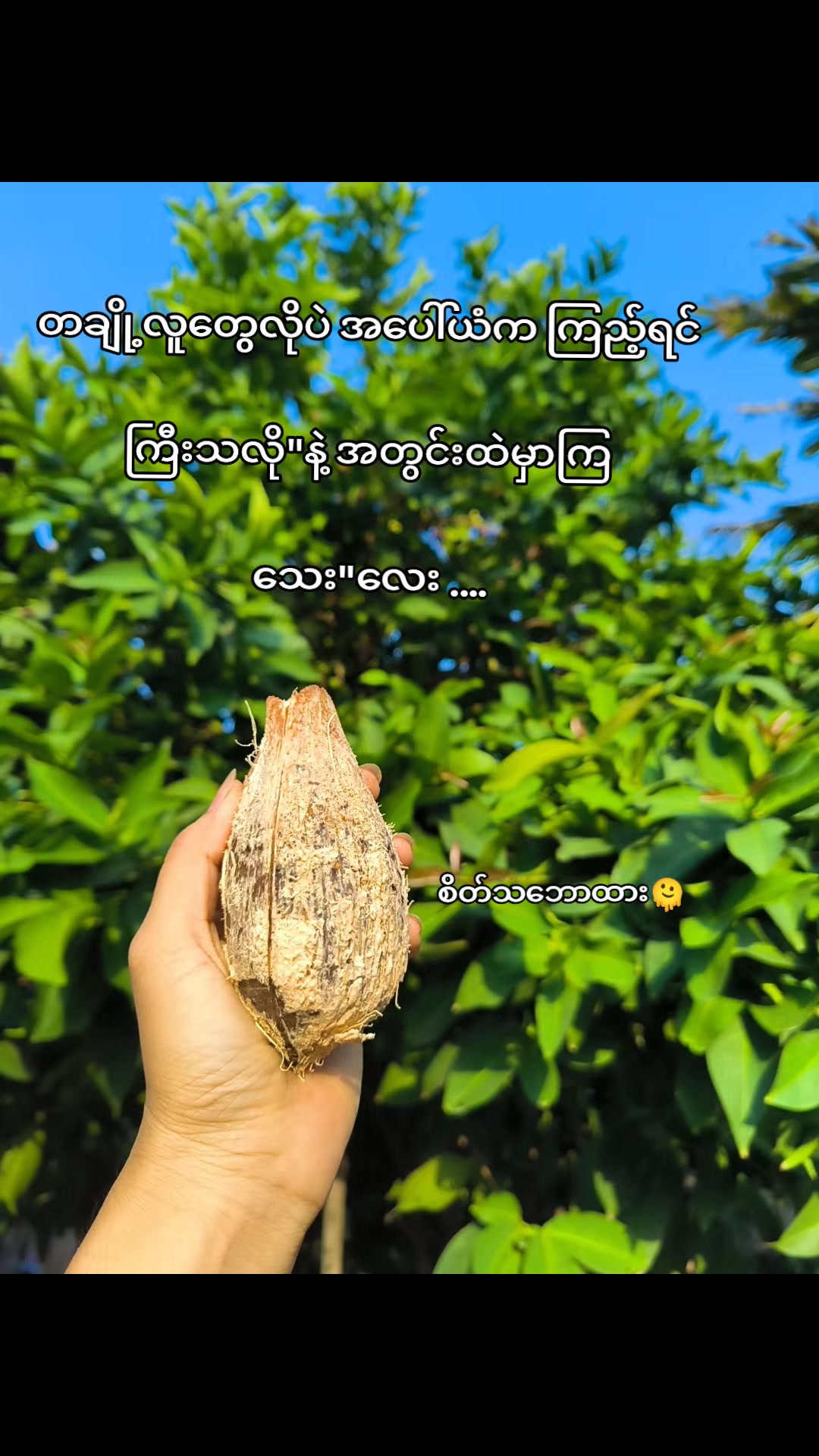 @🍃အမ်"Bi🍀