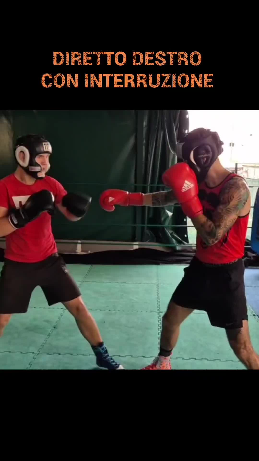 @UrsuDenisBoxeAcademy