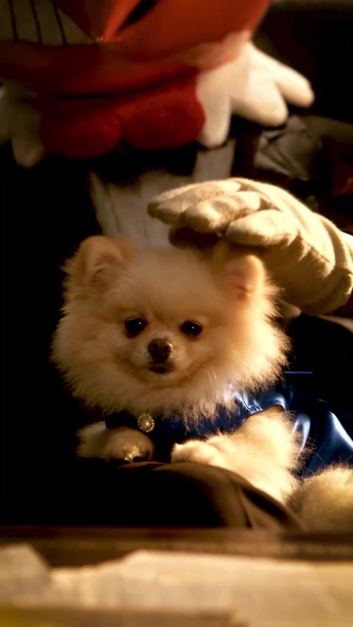 @guimeninchelotti