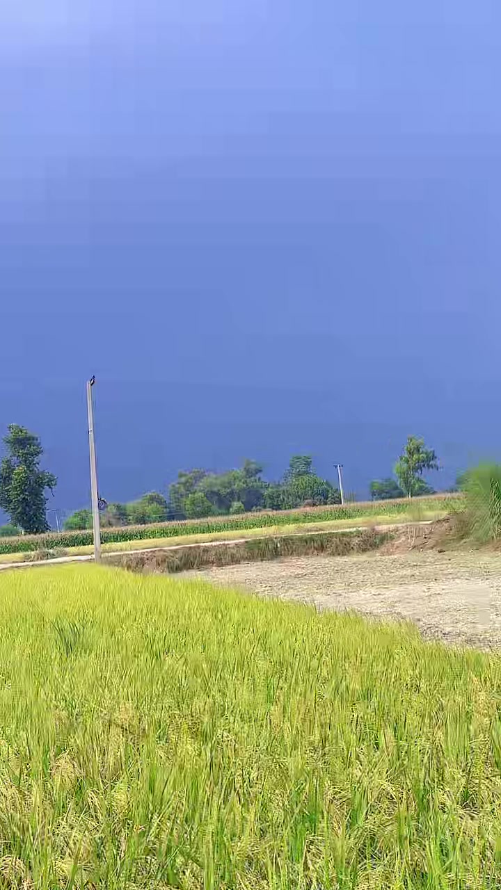 @༄Ɲαḋɾα💕Khαń࿐