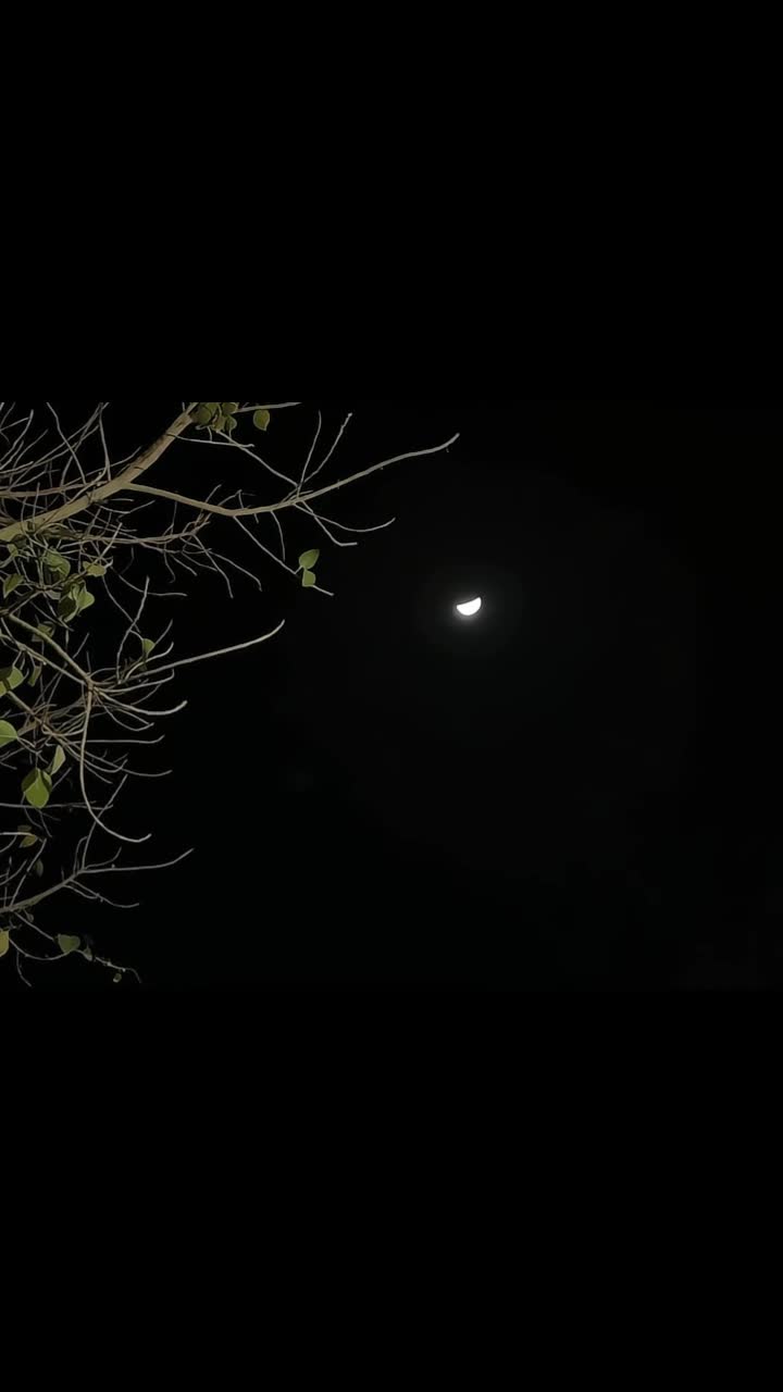 @𓆩♡𓆪