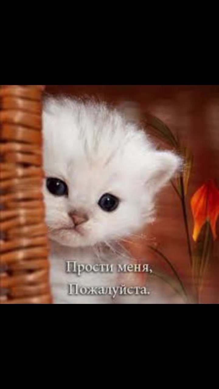 @кощик😛