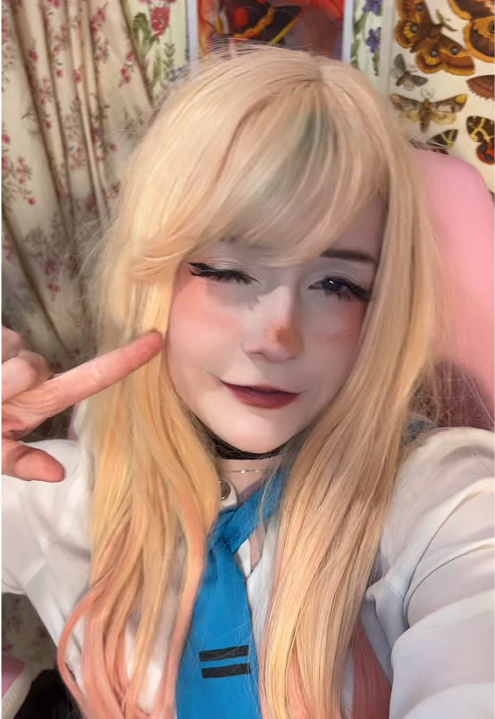 @≽^•⩊•^≼